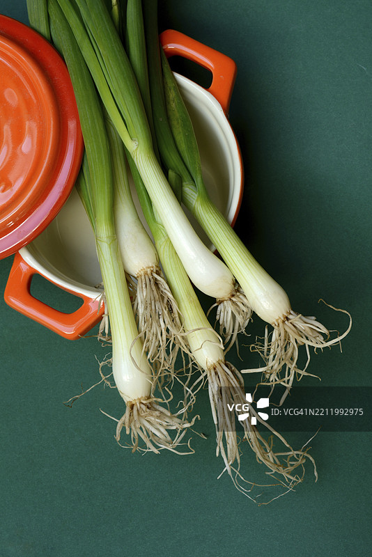 盆栽春葱，洋葱图片素材