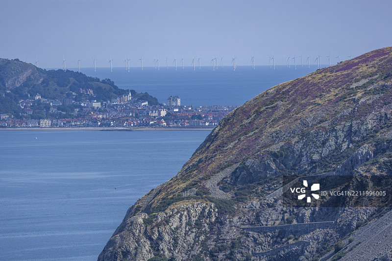 海岸地区的落基山脉上长满了开花的石楠(Erica),可以看到兰迪德诺和地平线上风力涡轮机的景色,位于斯诺多尼亚国家公园的边缘,彭梅恩毛尔,德威吉维尔基,卡纳封郡,康威县,威尔士。图片素材