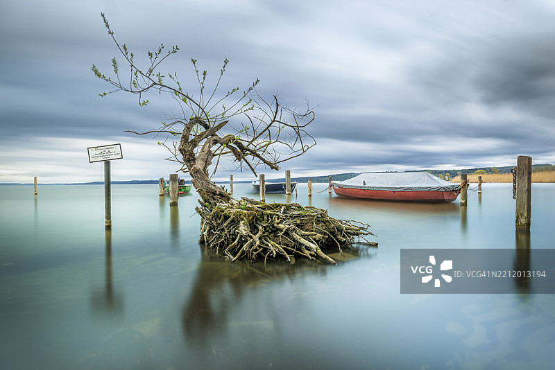 阿默湖岸边的树木和船只。德国巴伐利亚州的迪森阿默湖。图片素材