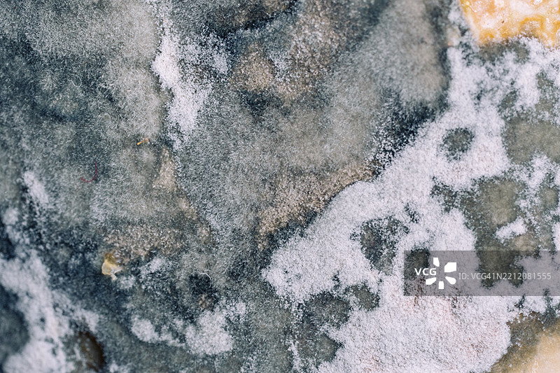 腐烂食物上生长的霉菌形成抽象形状图片素材