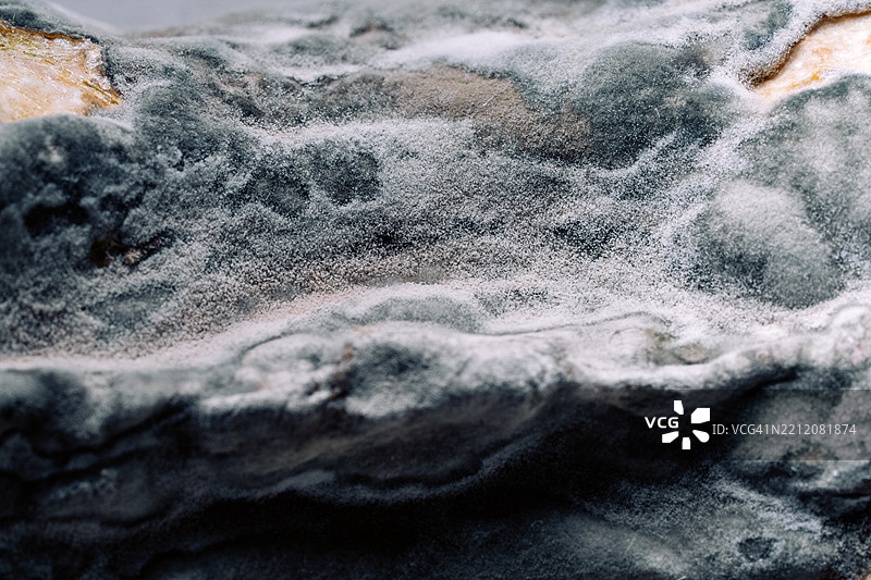 腐烂变质的食物上长满了霉菌图片素材