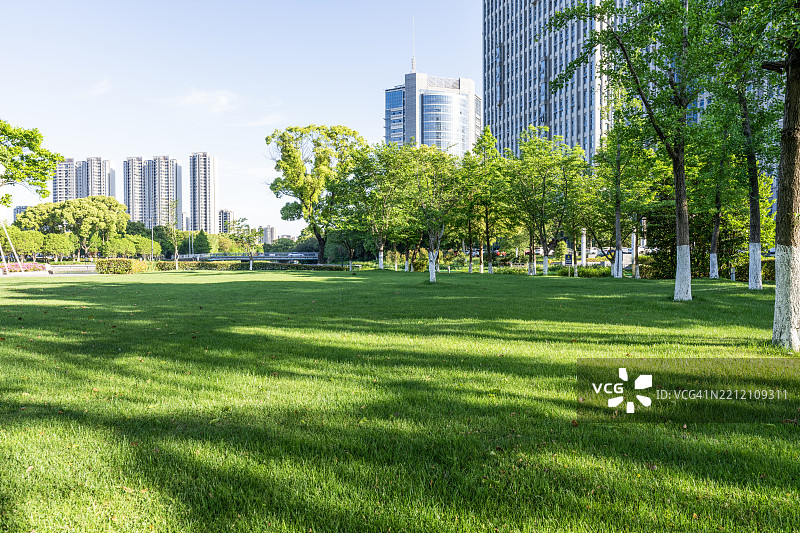 城市建筑前的草地图片素材