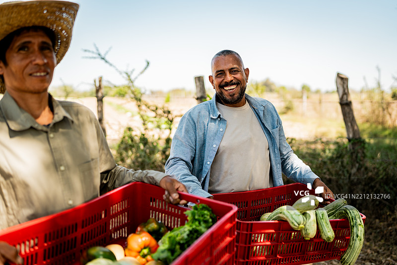 成熟农民手持蔬菜箱的肖像照图片素材