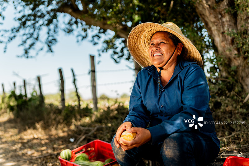 成熟的农妇在农场休息时剥橘子图片素材