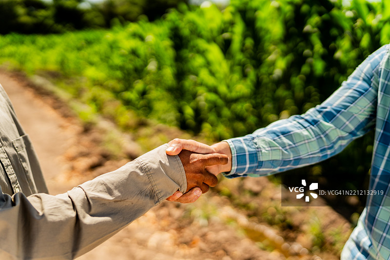 农民在农业田地里握手的特写镜头图片素材