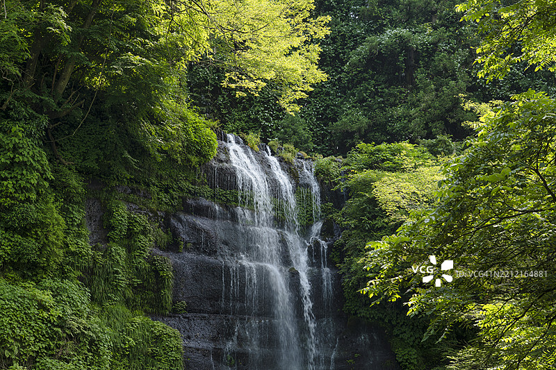 初夏郁郁葱葱森林中的隐秘瀑布图片素材