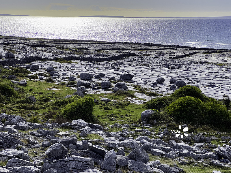 爱尔兰的喀斯特铺面和冰川漂砾图片素材