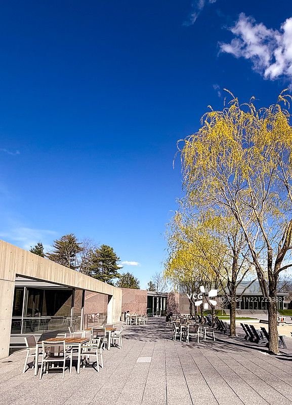 在威廉斯敦的克拉克博物馆，反射池附近的休息区，配有桌子、椅子和树木。图片素材