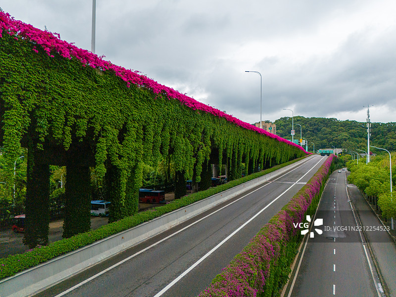 一条宁静的城市道路，两旁绿树成荫，鲜花盛开。图片素材