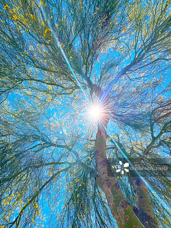 我的亮点图片素材