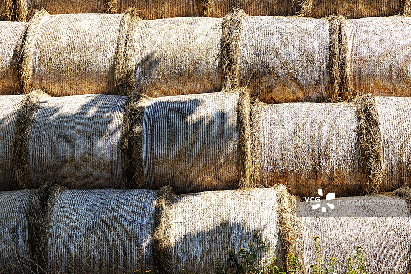 农业田地上的堆叠稻草 bale图片素材