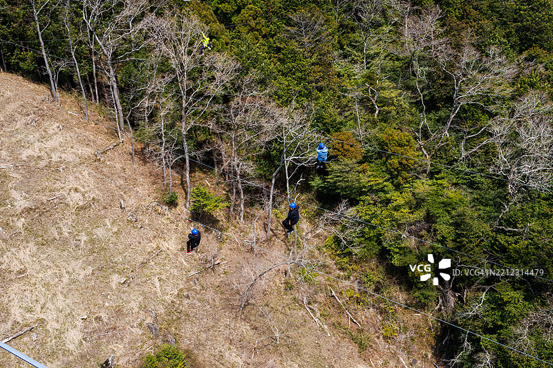 从70米高、400米长的悬索桥顶端往下看,山樱花和其他樱树正盛开着。旁边有一条滑索,人们正在体验飞翔的感觉。图片素材