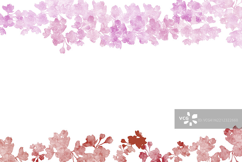 粉色和白色花朵及叶子的抽象水彩花边。图片素材