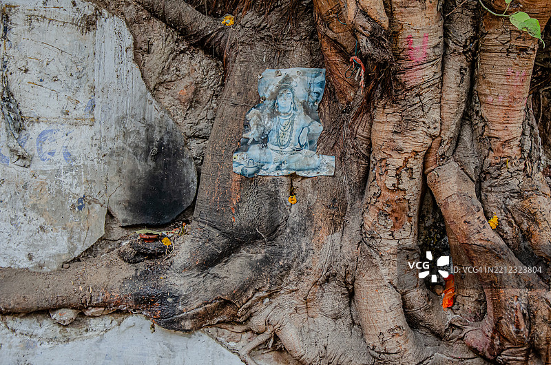 湿婆的祝福与古老的根源 — 艾哈迈达巴德街头图片素材