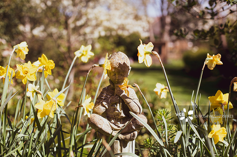 英格兰西南部花园特色图片图片素材