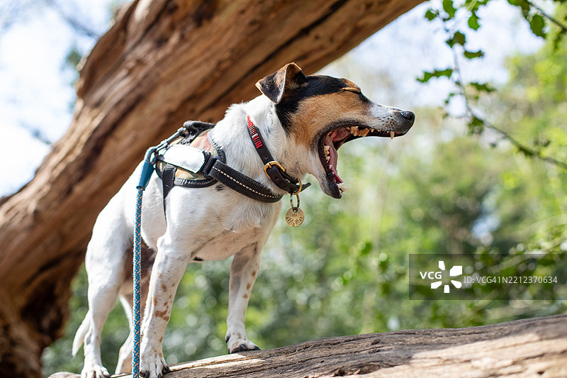 英格兰户外自然风光图片图片素材