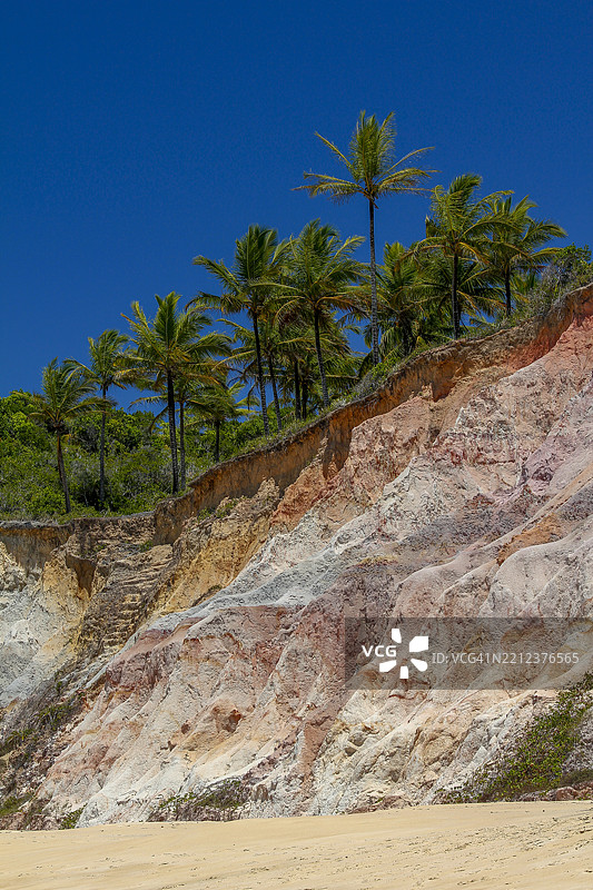 巴伊亚州特朗科索的海龟海滩图片素材
