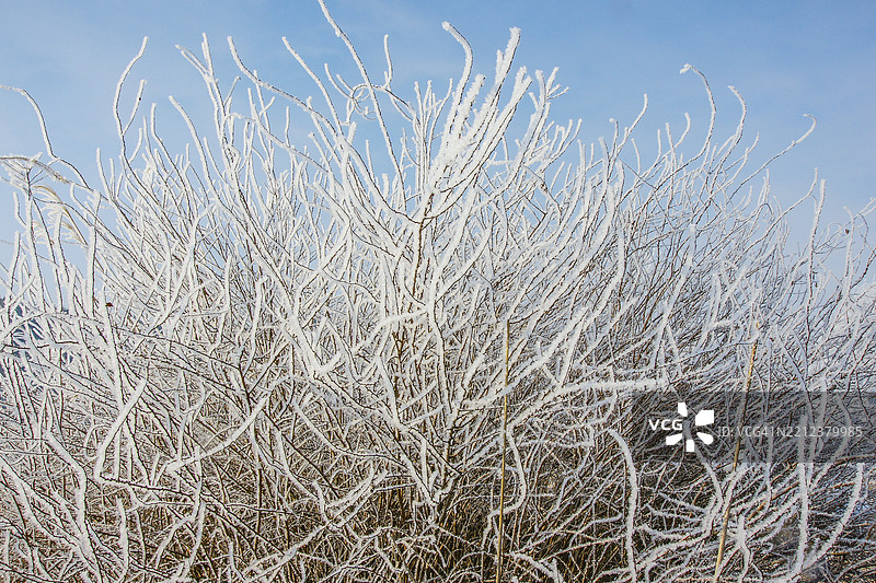 江原道春川市的松阳江沿岸雪景图片素材