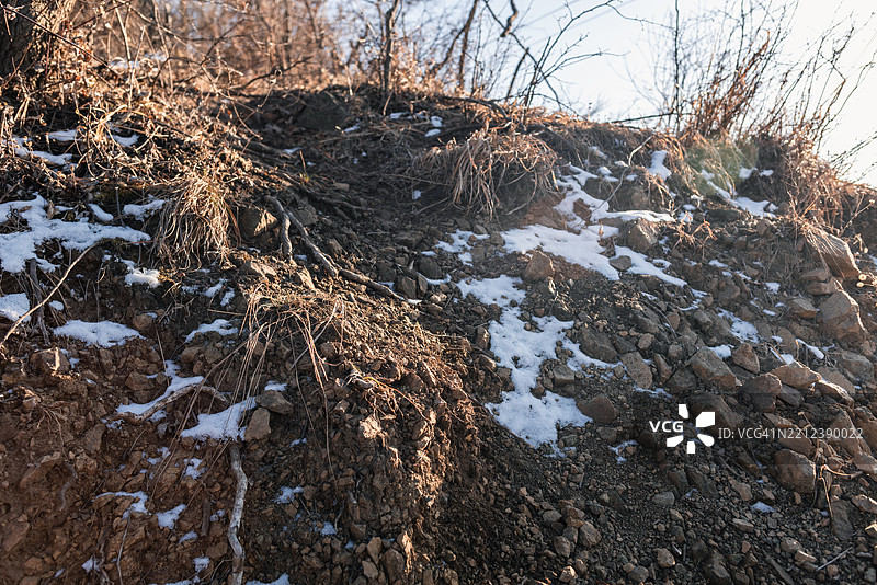 山坡的冬季风景图片素材