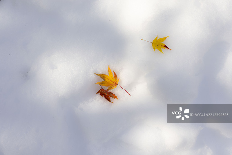 首尔吉祥寺的秋天图片素材