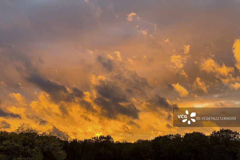 德国欧洲米施瓦尔德森林边缘的树梢上空的日落图片素材