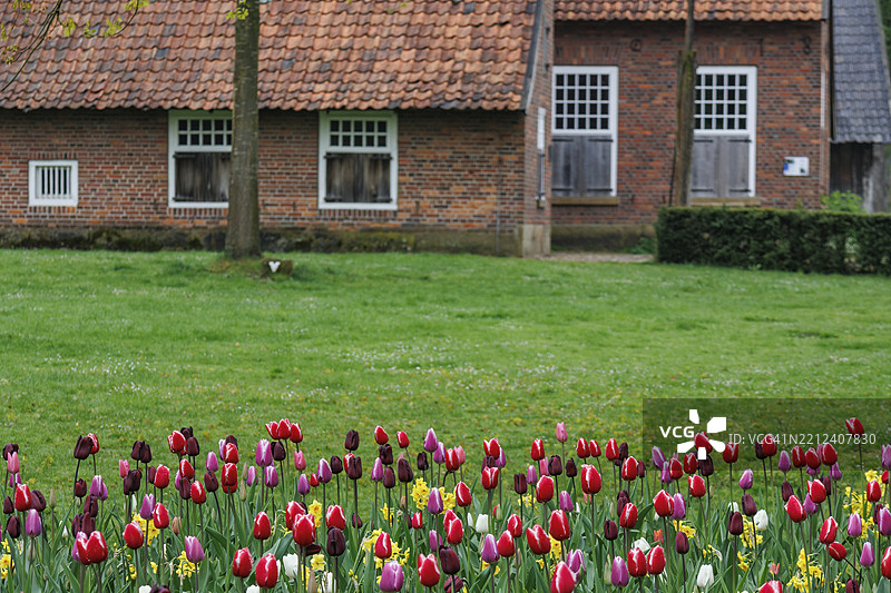 弗雷登，西法利亚，德国，欧洲图片素材