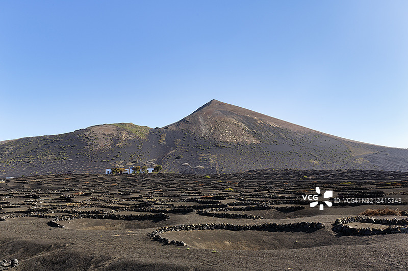 葡萄种植，黑色火山灰，皮孔，火山砾石，火山山脉，拉赫里亚，兰萨罗特，西班牙，加那利群岛，欧洲图片素材