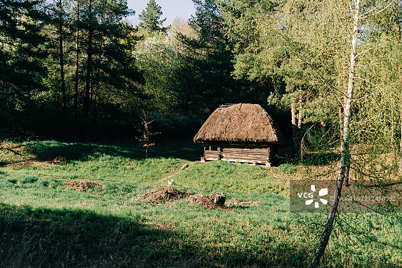 乡村绿意盎然的质朴木屋图片素材