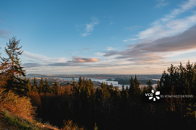 从森林覆盖的山坡俯瞰温哥华市区天际线的美景图片素材