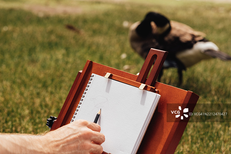 艺术家在户外绘画环境中素描一只鸟图片素材