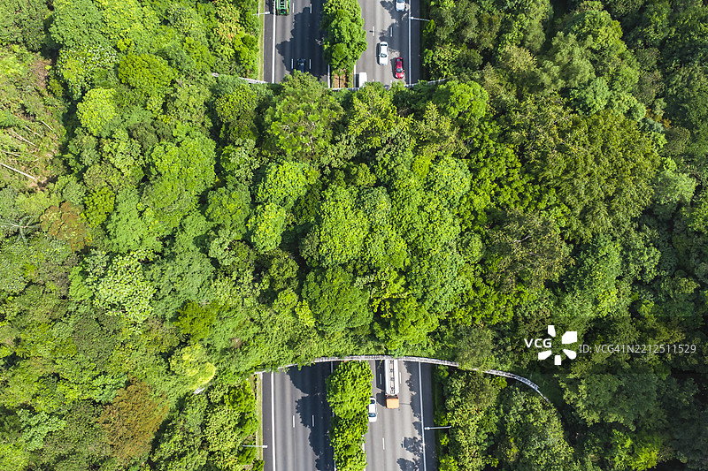 新加坡，武吉知马高速公路图片素材