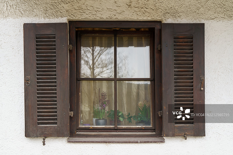 乡村风格的木窗户与盆栽风信子图片素材