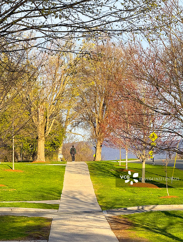 孤独的学生在威廉斯学院（Williams College），威廉斯敦（Williamstown）长长的人行道上走过草地和树木。图片素材