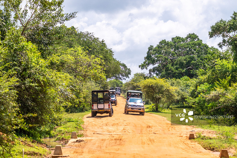 丛林中泥土路上的野生动物园车辆图片素材