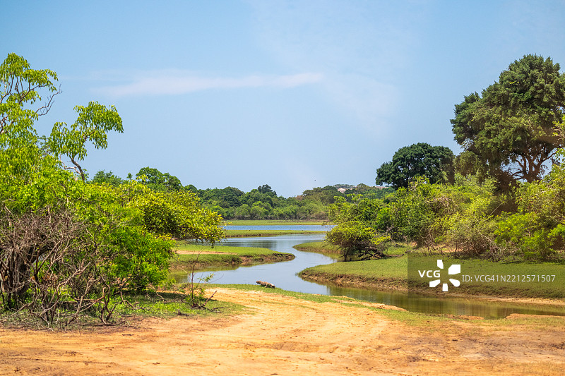 热带河流风景的美丽景观图片素材