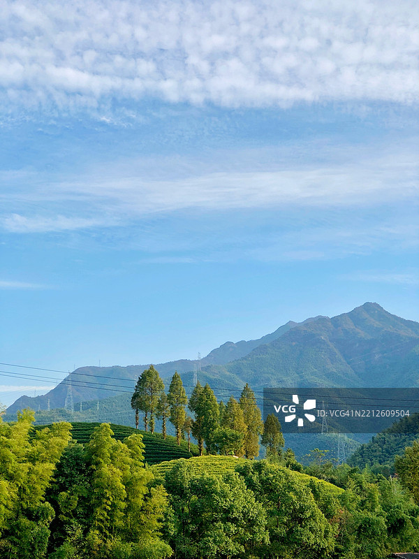森林与天空的美丽景色，杭州，浙江，中国图片素材