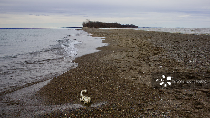 加拿大安大略省利明顿的海滩风景。图片素材