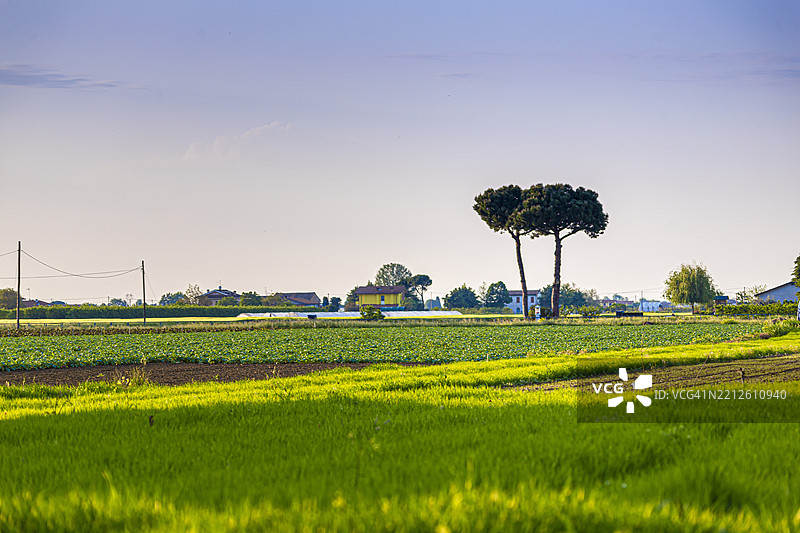 意大利福尔利-切塞纳的切塞纳蒂科，天空下的田野美景图片素材