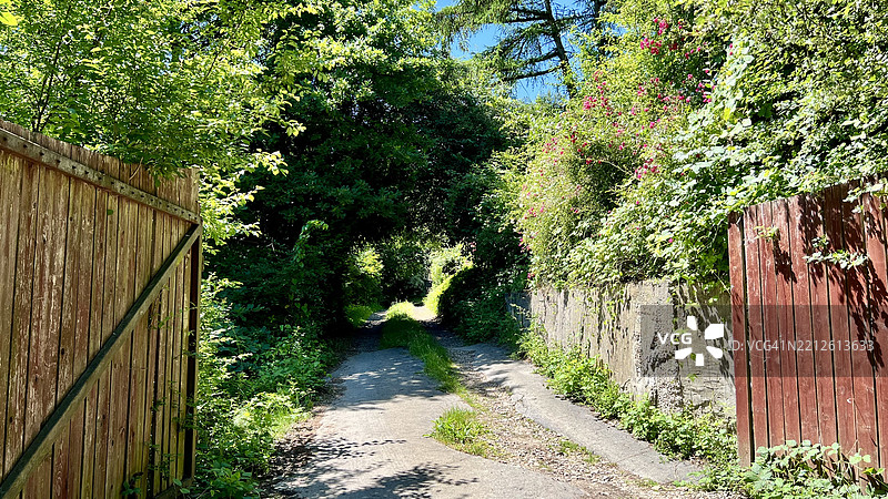一扇敞开的木门和一条沙土路，穿过花树拱门。图片素材