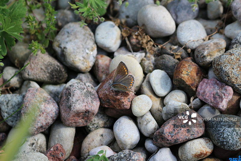 高角度视图的海滩卵石图片素材
