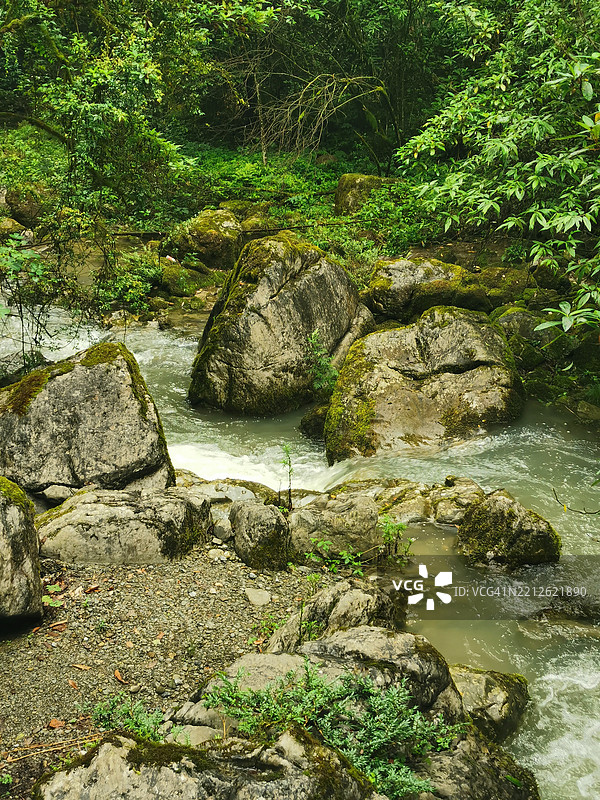 森林中溪流穿过岩石的美丽景色图片素材