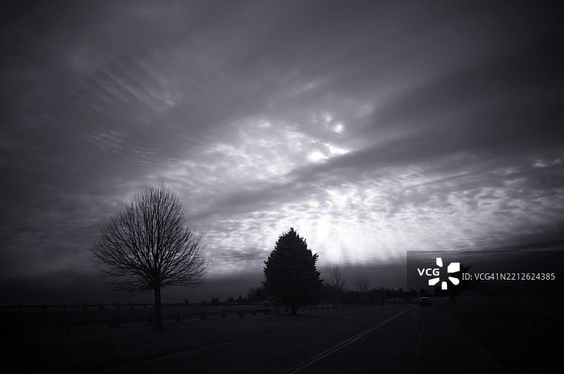 康涅狄格州麦迪逊的天空下，田野上的树木剪影图片素材