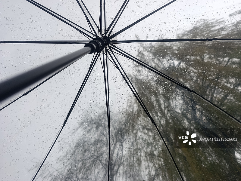 低角度视图的树木与天空相对照图片素材