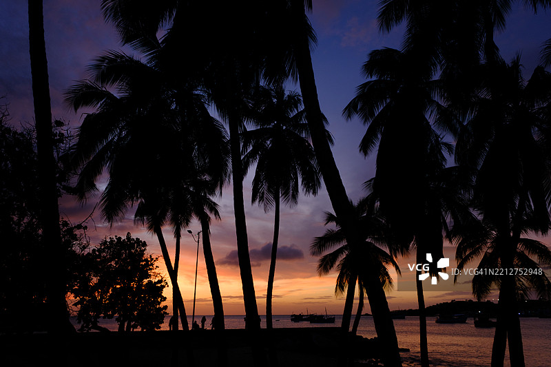 日落剪影：椰子树和人们在紫色、红色、橙色和黄色的绚丽天空下。图片素材