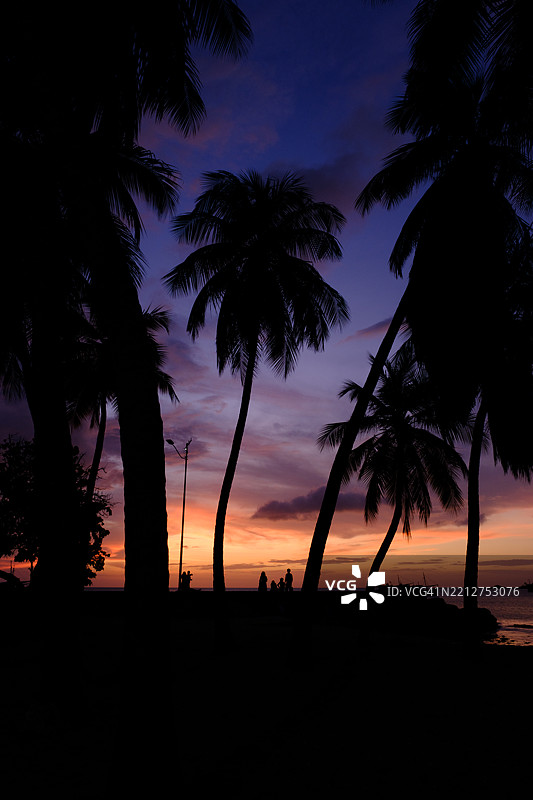 日落剪影：椰子树和人们在紫色、红色、橙色和黄色的绚丽天空下。图片素材