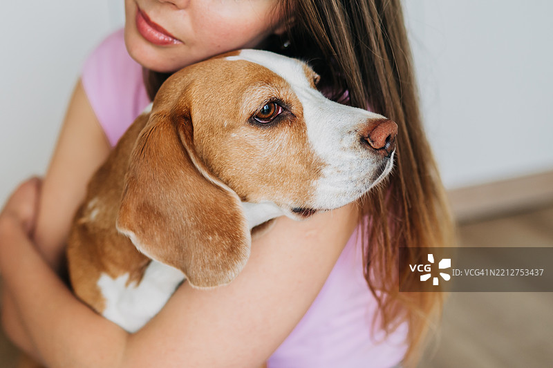 女人在温暖而充满爱的场景中拥抱一只比格犬图片素材