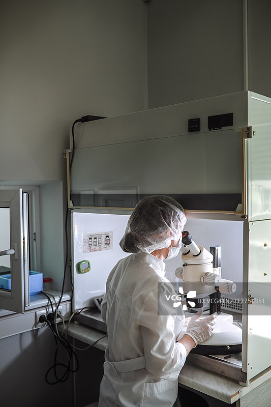 生育 clinic 细节，医生安排胚胎培养皿并通过显微镜检查精子。图片素材
