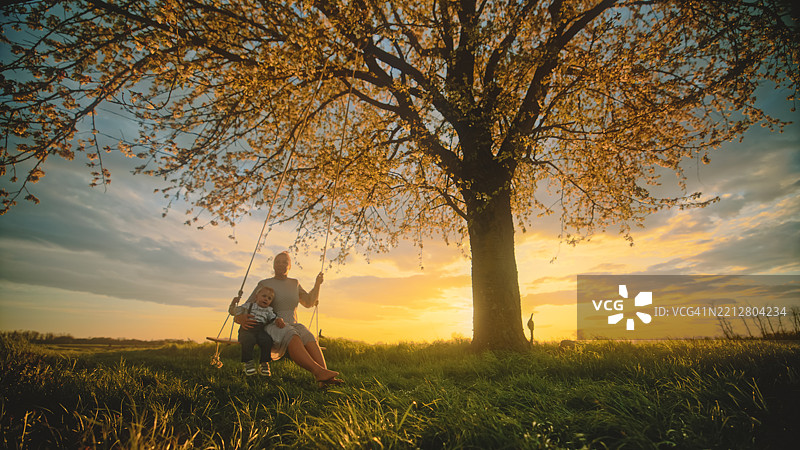 祖母和孙子在夕阳下享受盛开的樱花树下的宁静秋千时光图片素材