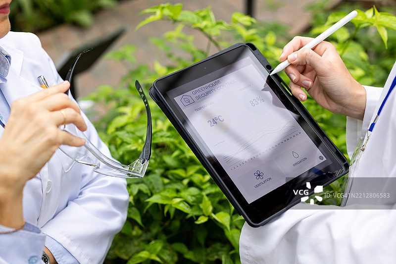农业工程师在温室内使用数字平板分析数据图片素材
