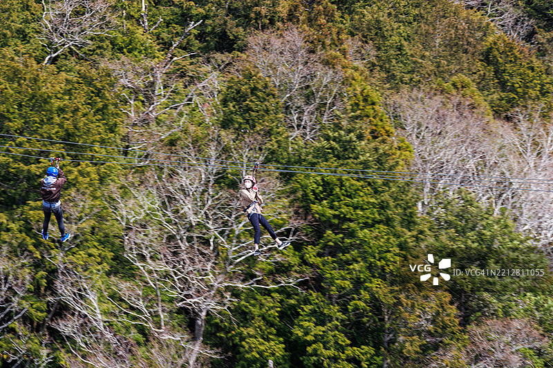 从70米高、400米长的悬索桥顶端往下看，山樱花和其他樱花树正盛开着。旁边有一条滑索，人们正在体验飞翔的感觉。图片素材